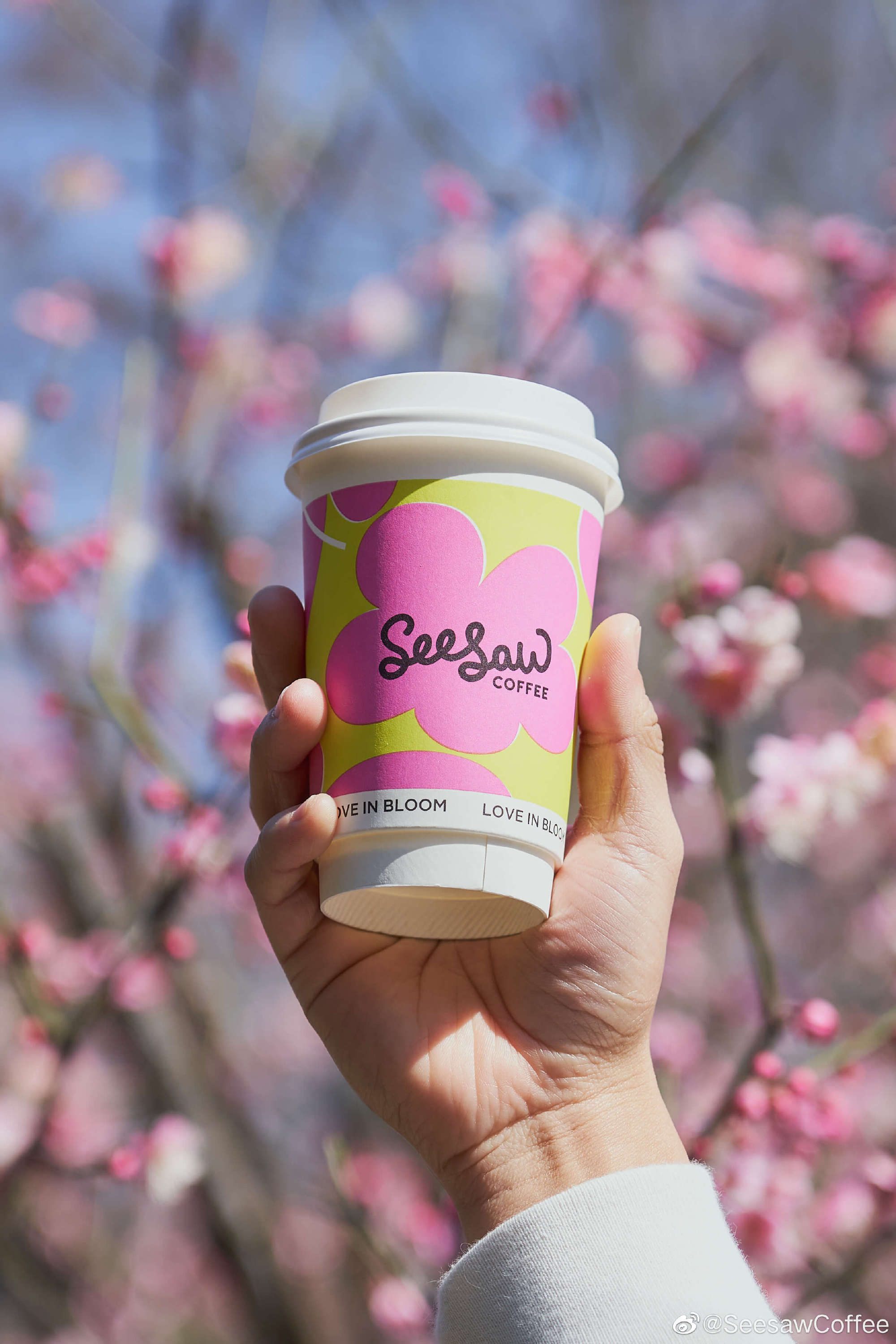 连锁咖啡品牌seesaw coffee获数亿元a++轮融资