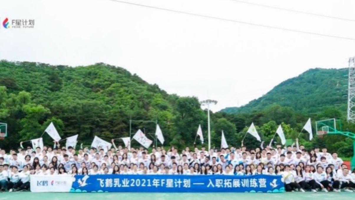共生共荣的飞鹤力量——我们留在飞鹤的N个理由